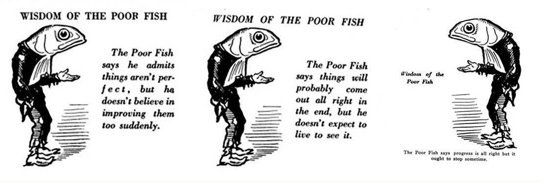 The Poor Fish good morning magazine