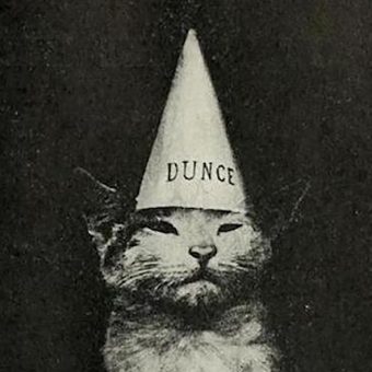 Meet Queen Cat, Secret Cat and Dunce Cat From Kittens and Cats: A First Reader (1911)