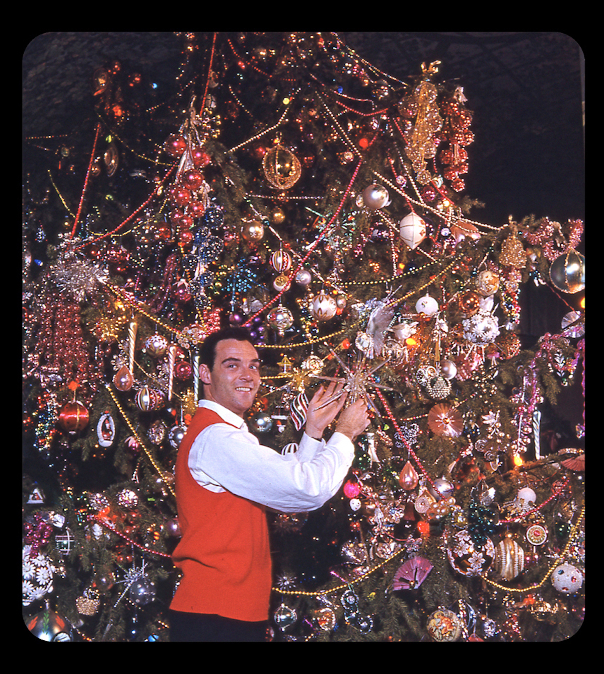 Harold Lloyd Christmas tree