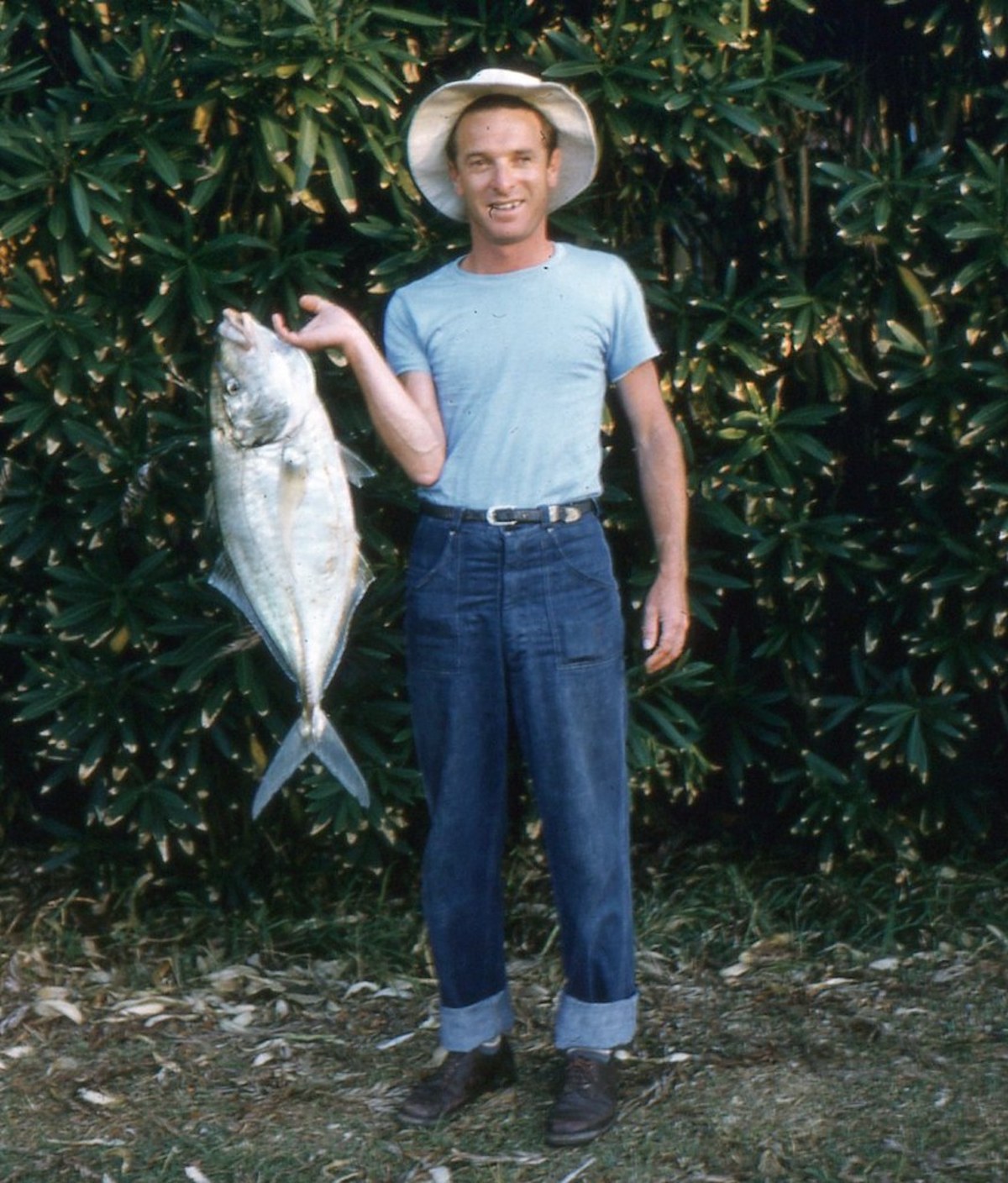 Lord Howe Island 1961 kodachrome