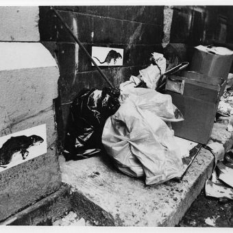 Christy Rupp: Rat Patrol in New York City, 1979