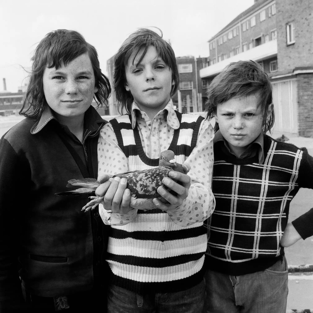 John Payne, with pigeon Chequer and brothers Michael and Kalvin White, Portsmouth, 1974