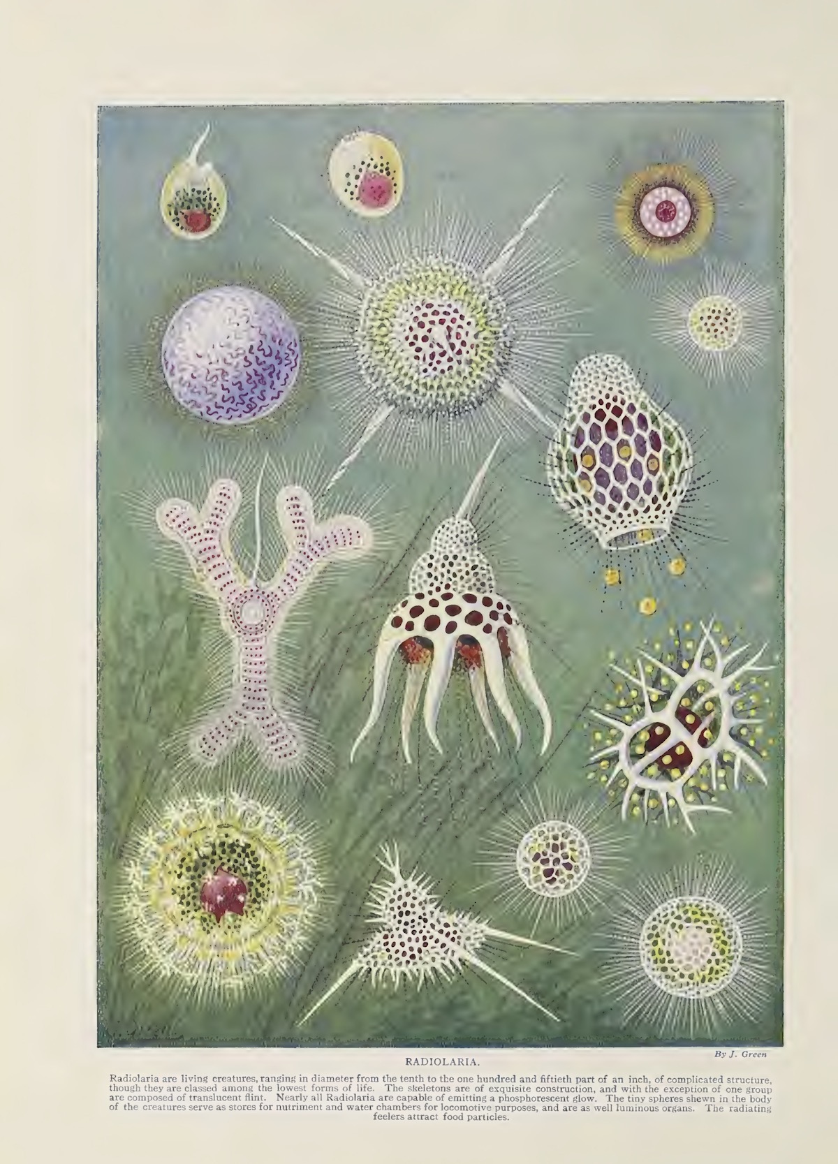 Marvels of the Universe 1912