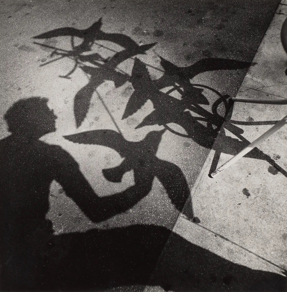 Shadow, Cannes, France, 1974 York