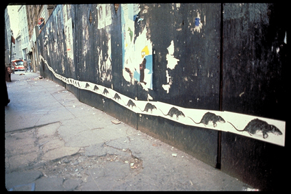 The rat poster wheat pasted on a wooden wall, 1979