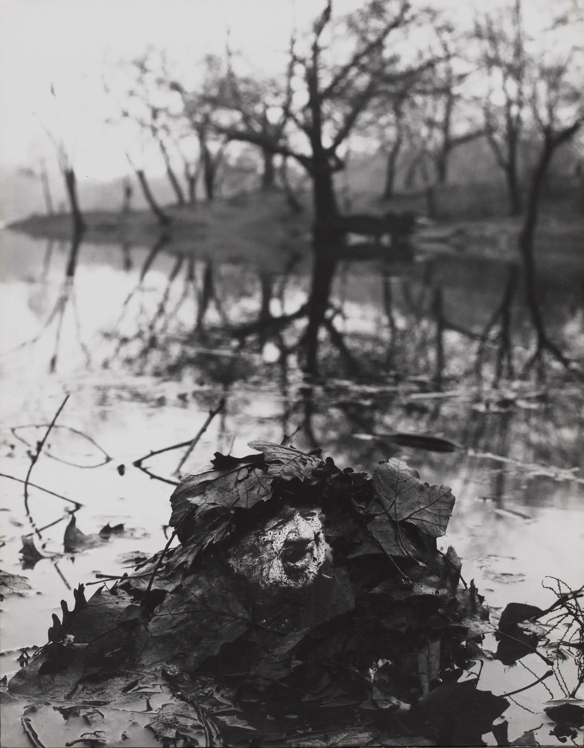 Wild Man of the Forest, Central Park, New York, 1969 York