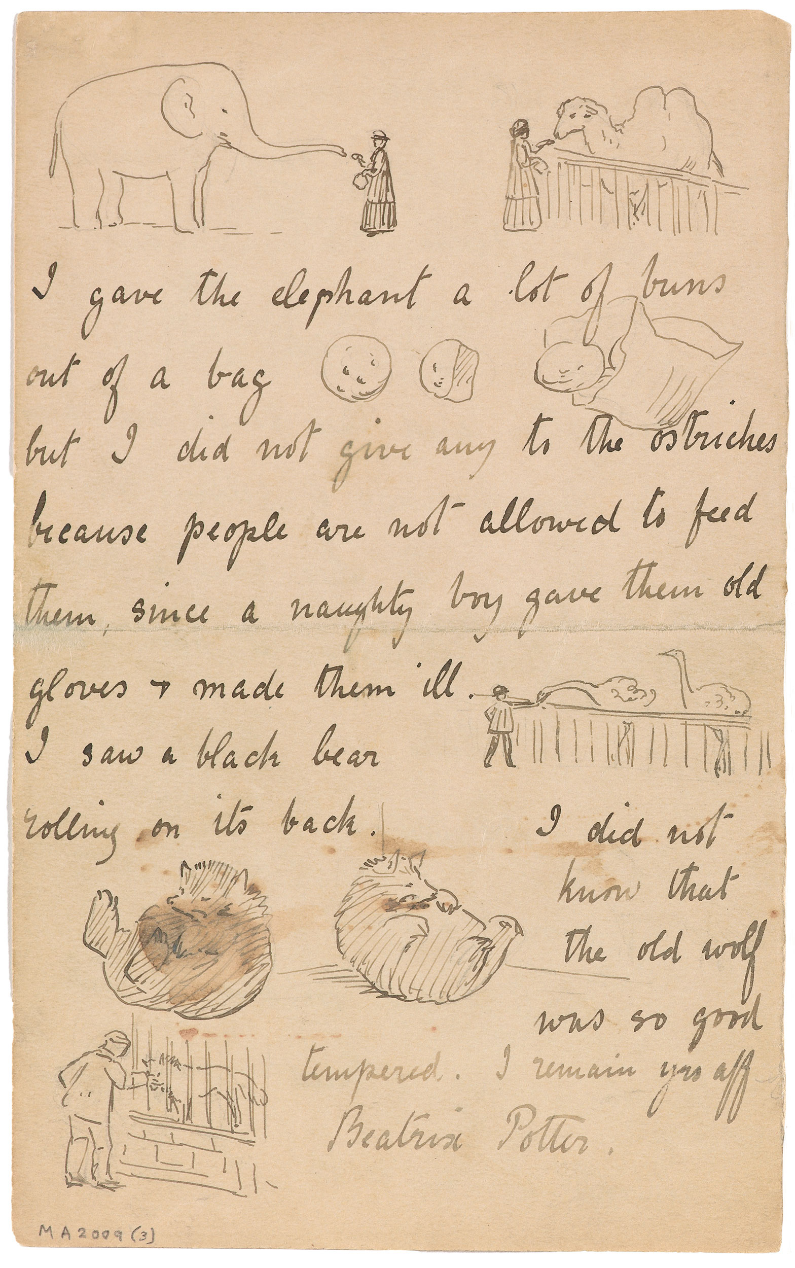 Beatrix Potter's Illustrated Peter Rabbit Letters - Flashbak