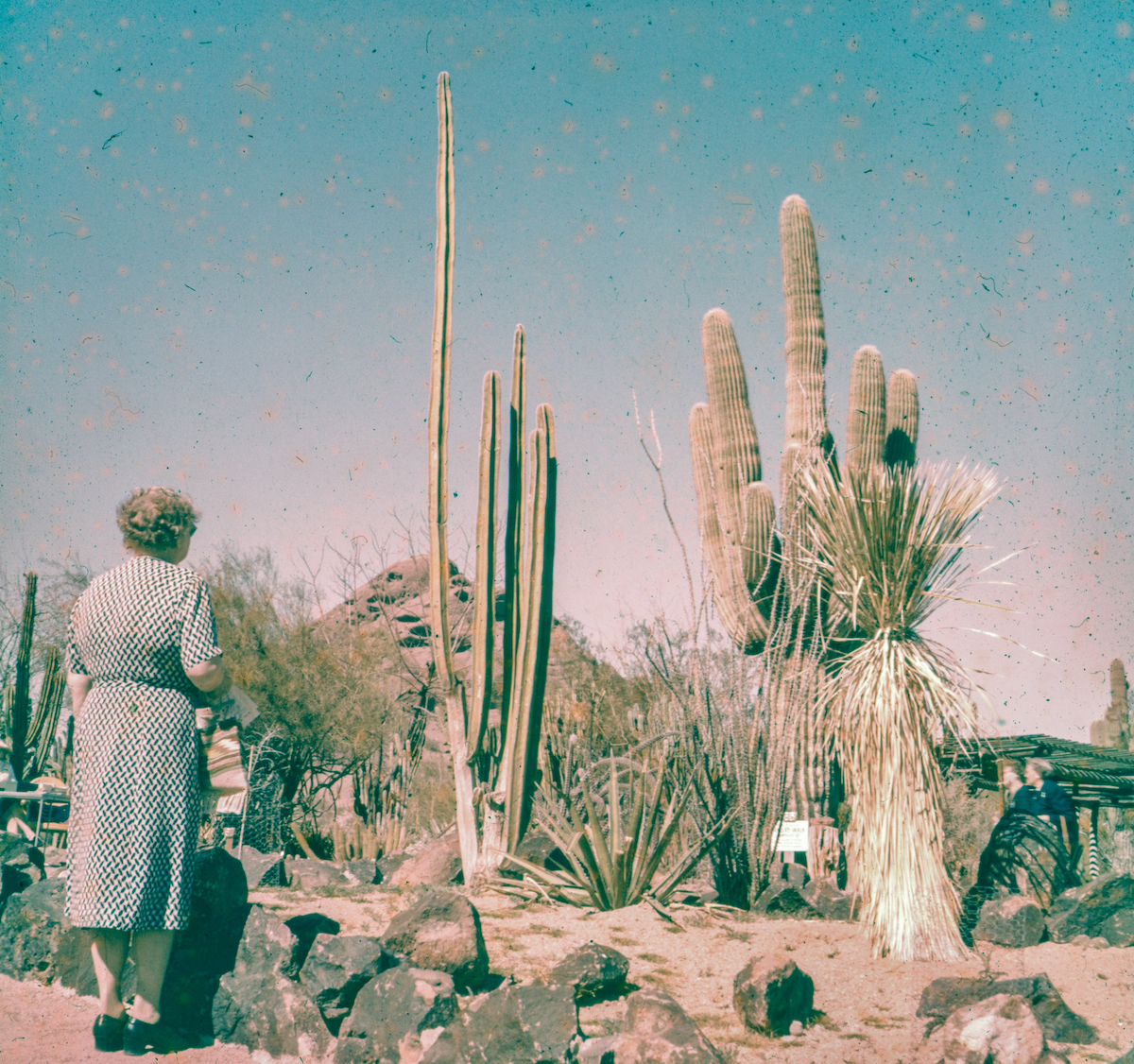 From a collection of glass slides of the American Southwest, photographer unknown.