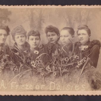 Flowers Snapshots 3 Flashbak