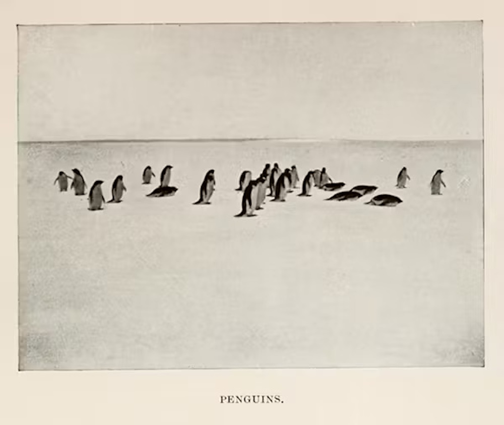 Amundsen’s South Pole Expedition - 1910-1912