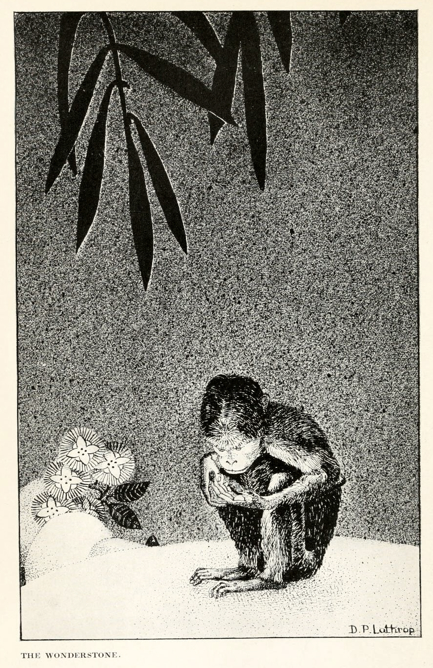 Dorothy Pulis Lathrop Illustrations For Walter de la Mare The Three Mulla-Mulgars