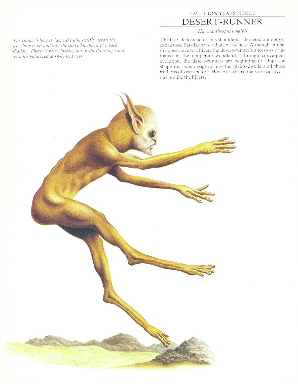 dougal-dixon man-after-man--an-anthropology-of-the-future-1990