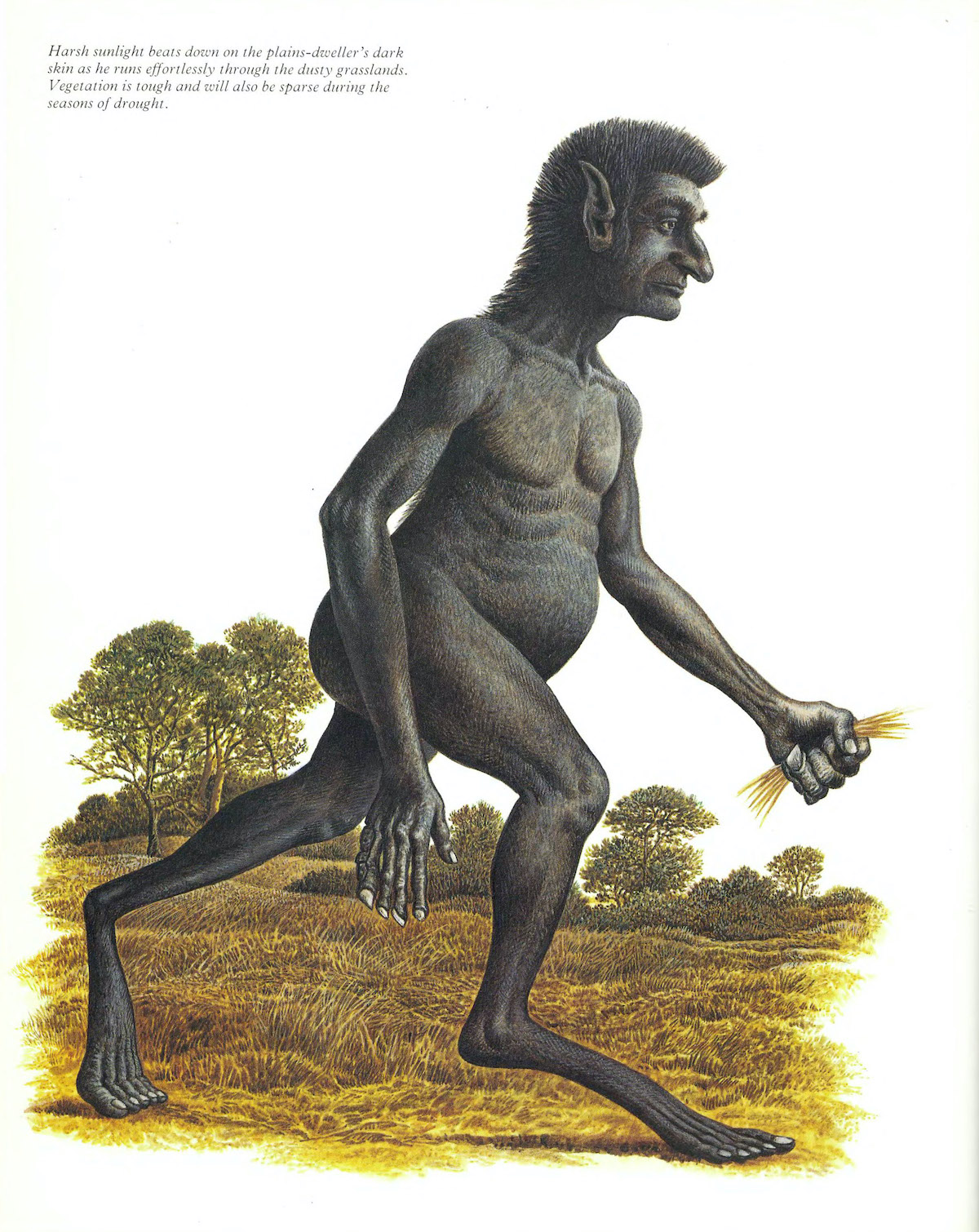 dougal-dixon man-after-man--an-anthropology-of-the-future-1990