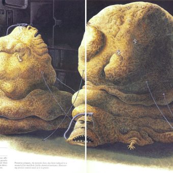 dougal-dixon-man-after-man-an-anthropology-of-the-future-1990-25