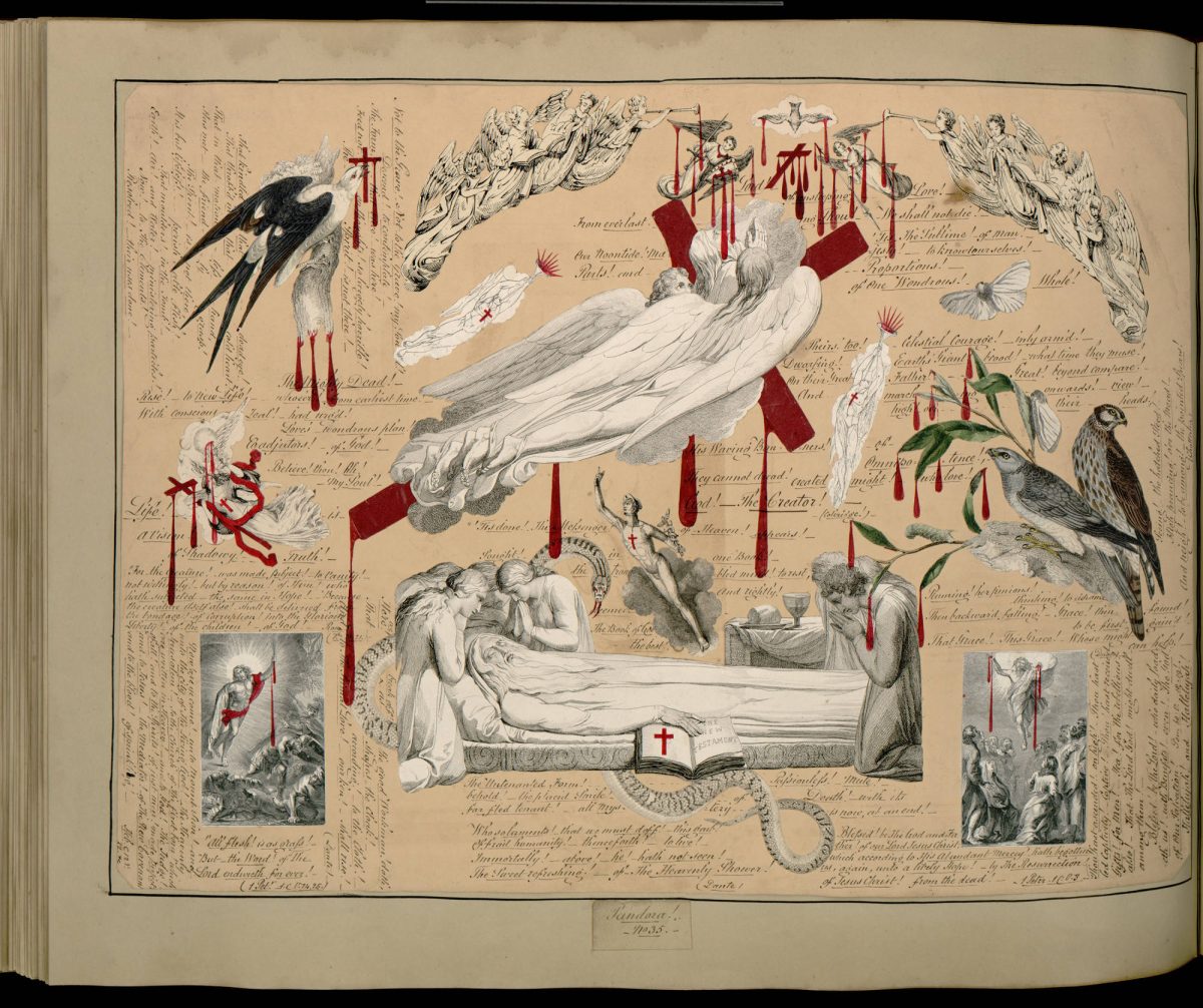 Plate 35
