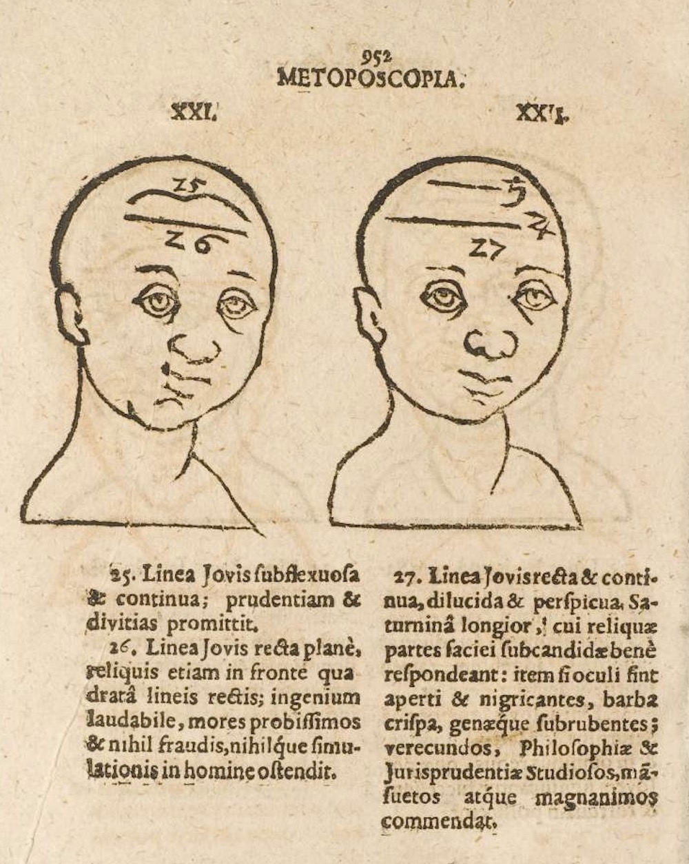 Metoposcopia