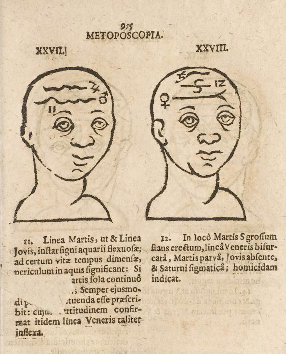 Metoposcopia