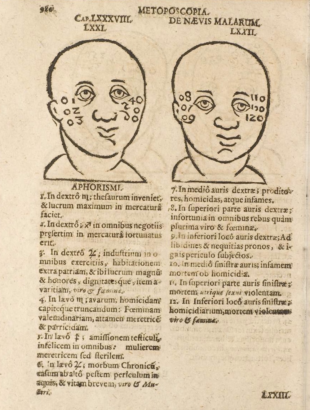 Metoposcopia