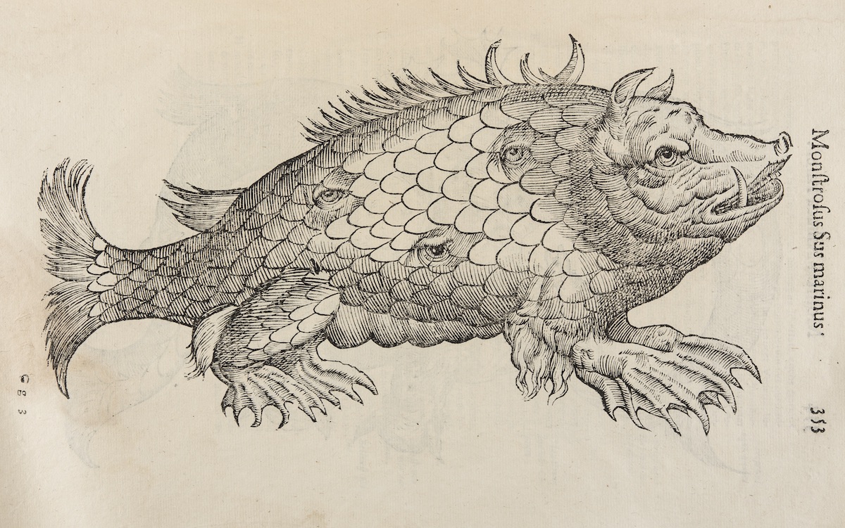 Ulissi Aldrovandi Monstrorum Historia