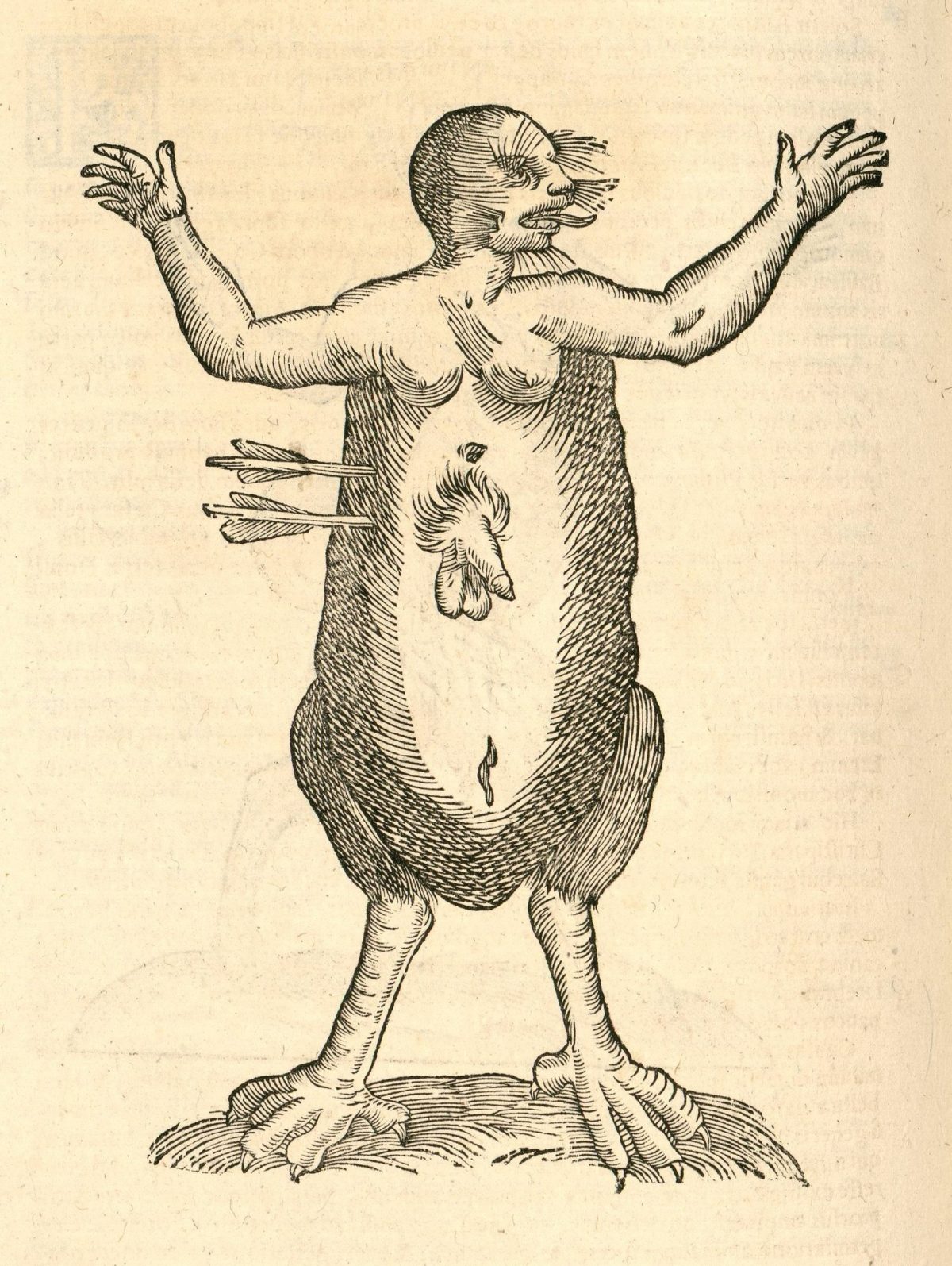 Ulissi Aldrovandi’s Monstrorum Historia