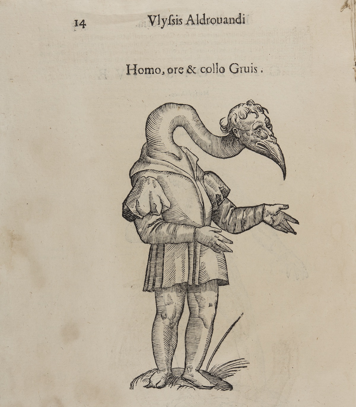 Monstrorum Historia