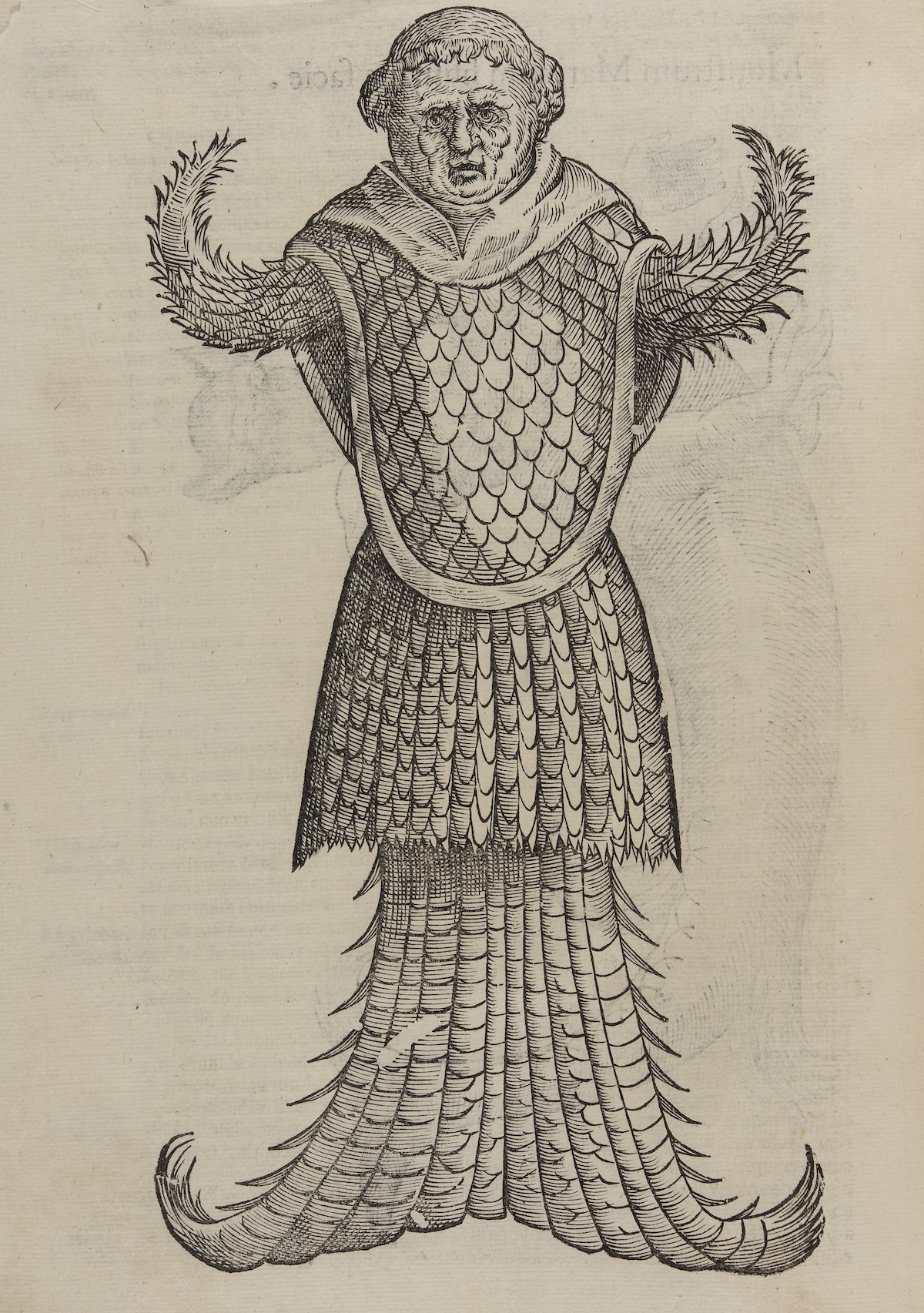 Ulissi Aldrovandi Monstrorum Historia