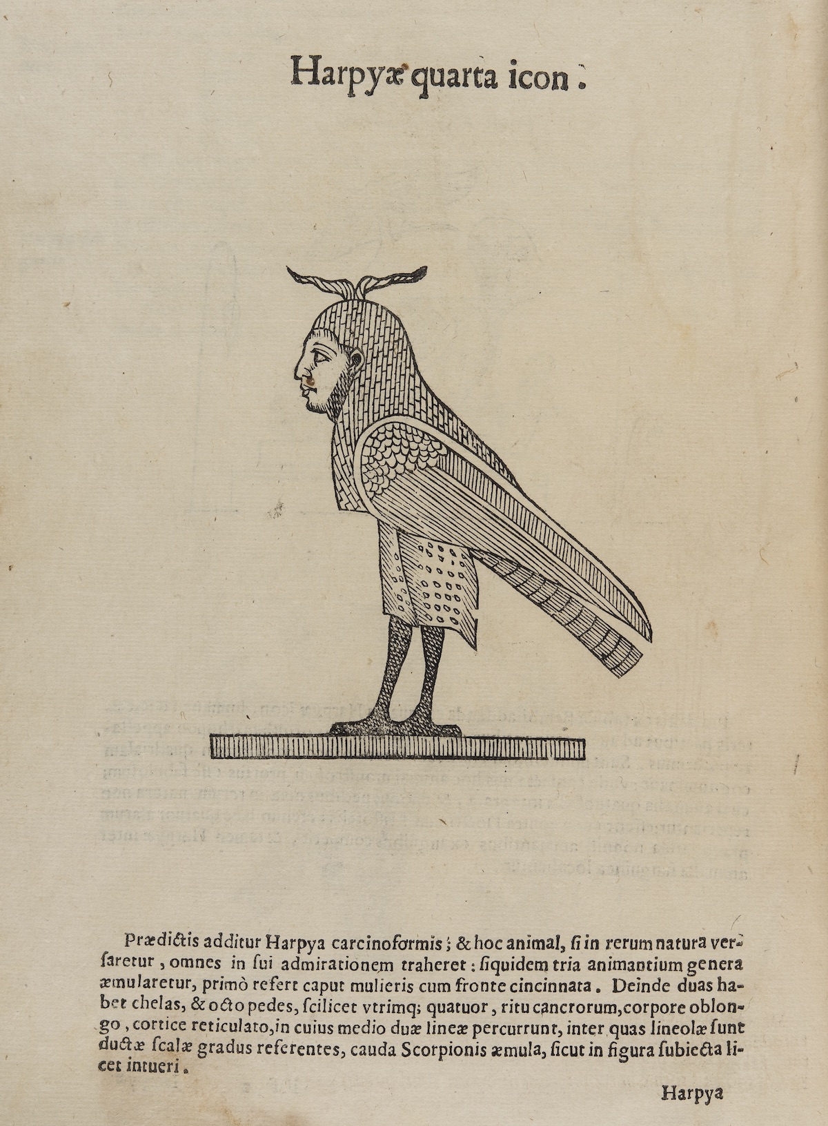 Ulissi Aldrovandi Monstrorum Historia