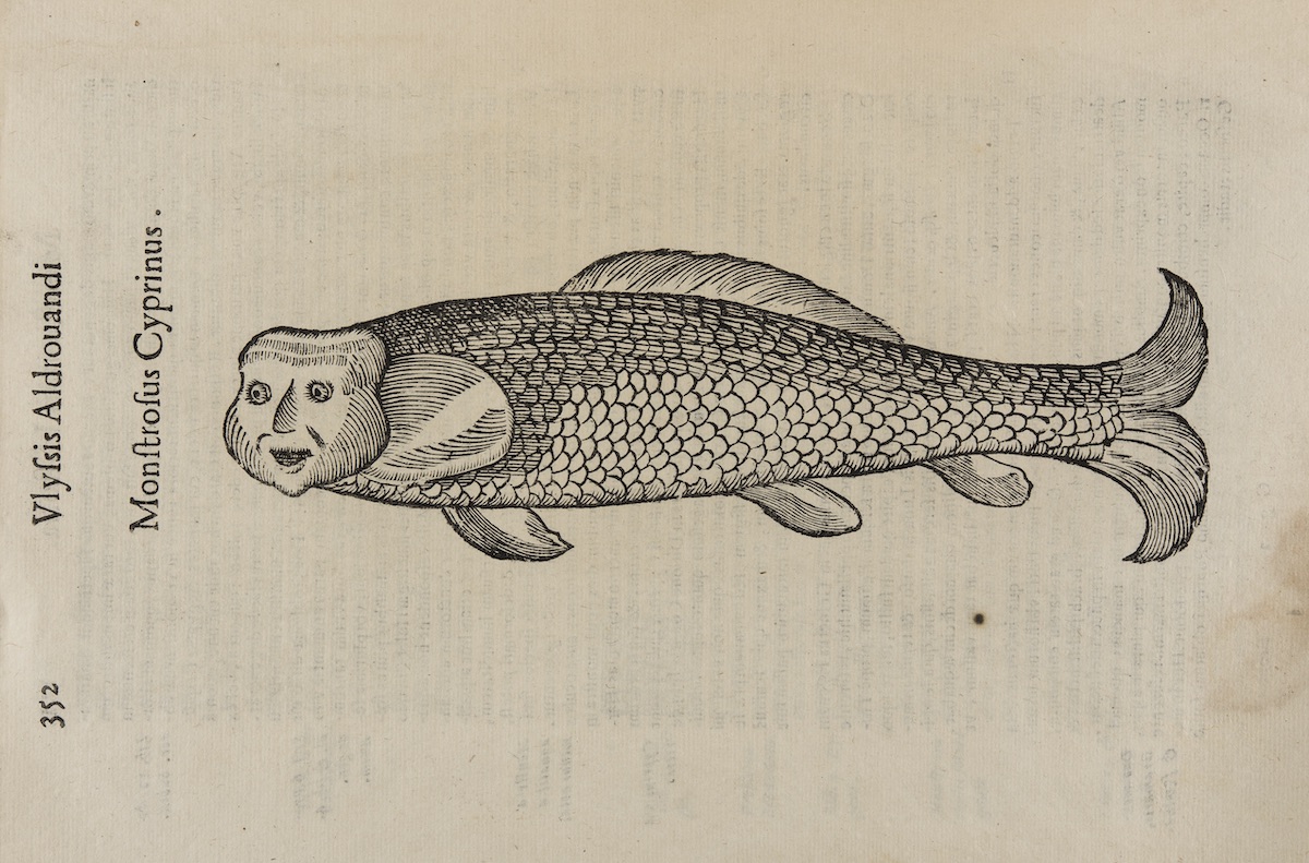 Ulissi Aldrovandi Monstrorum Historia