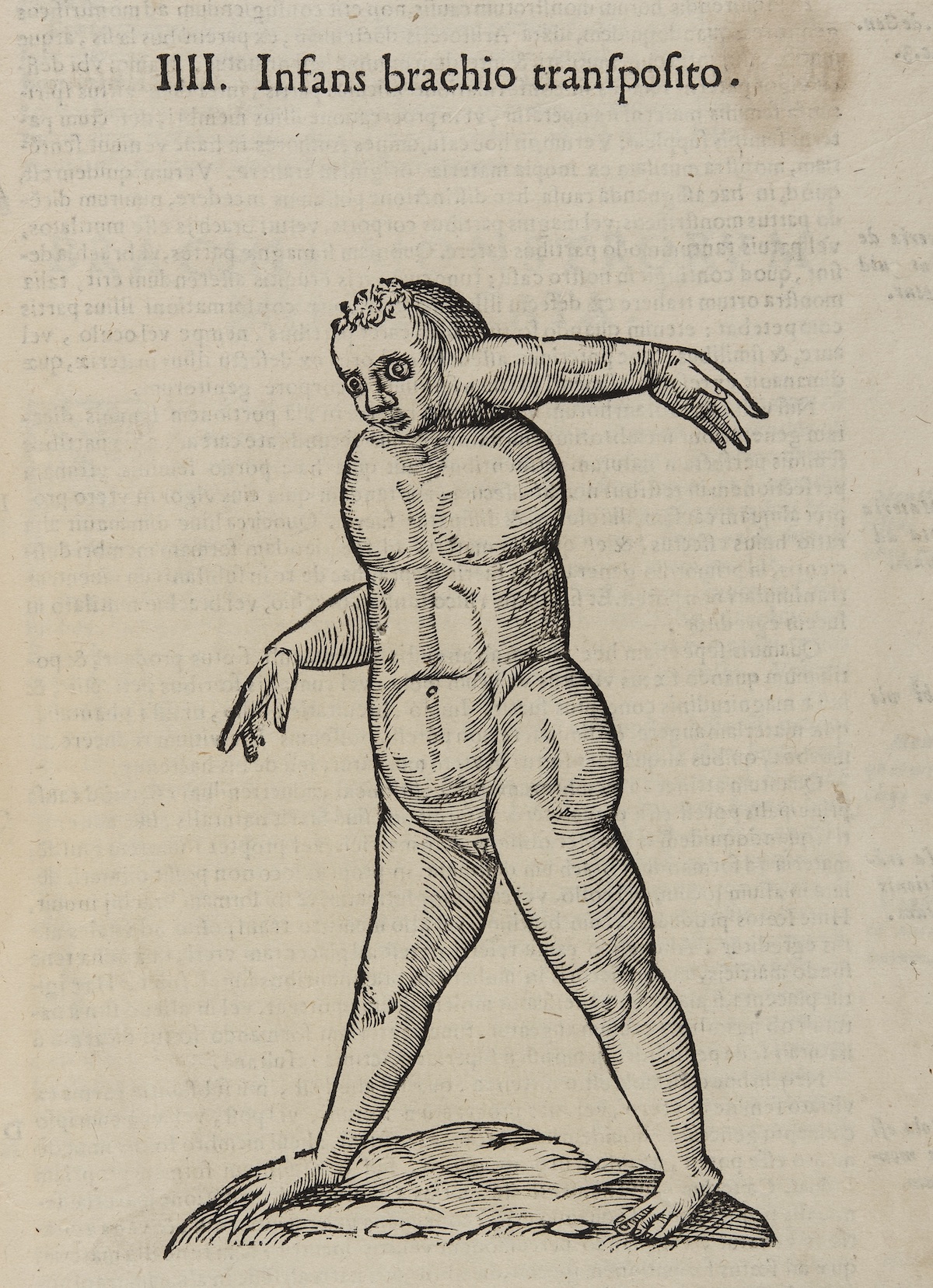 Ulissi Aldrovandi Monstrorum Historia