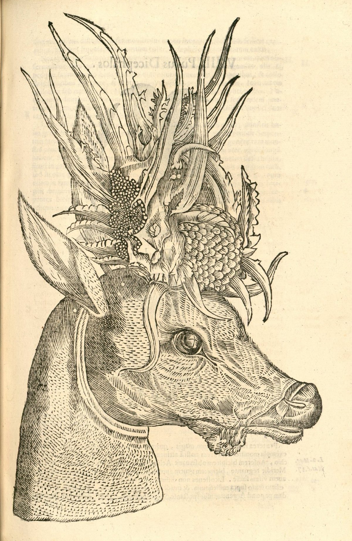 Ulissi Aldrovandi’s Monstrorum Historia