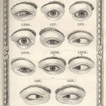 The Life and Extraordinary History of the Chevalier John Taylor: The Eye Surgeon Who Robbed You Blind