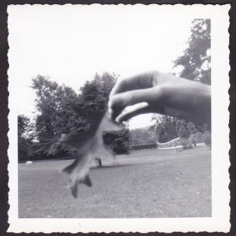 From Eve To Autumn – A Celebration of Falling Leaves