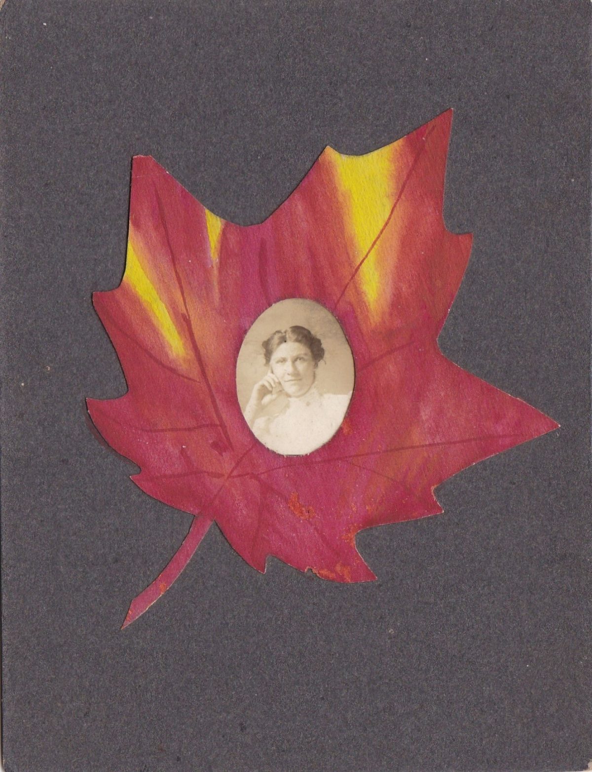 leaves