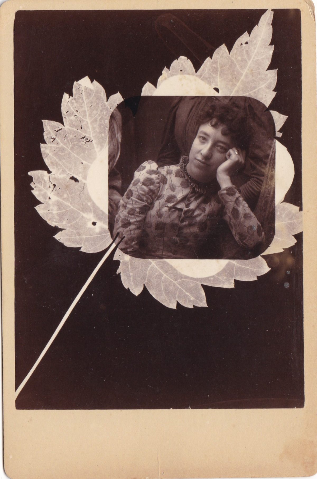leaves