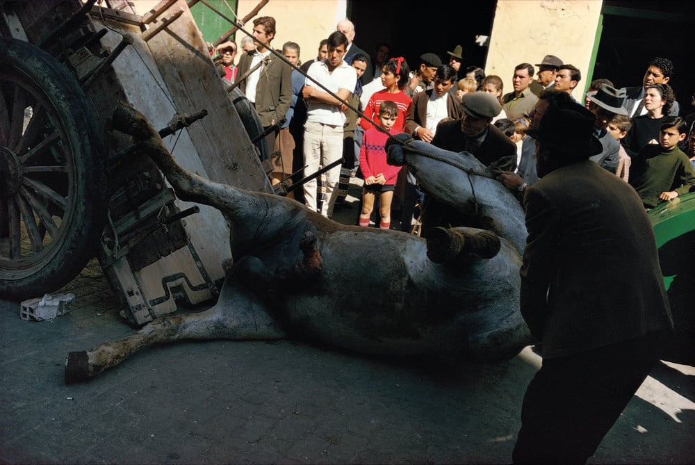 Málaga, Spain, 1967 © Joel Meyerowitz horse