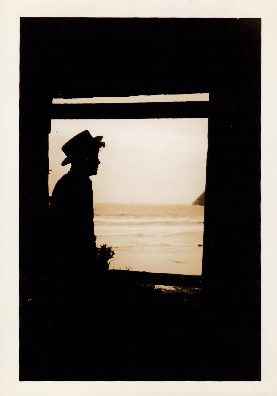 silhouette photos