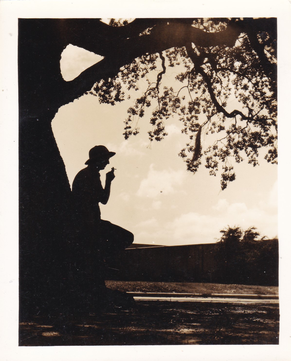 silhouette photos