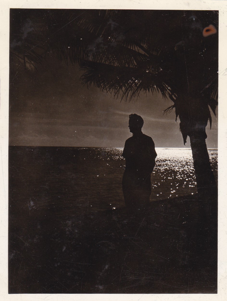 silhouette photos