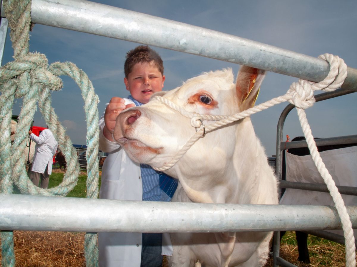 Michael Prince, photography, photographer, Showtime