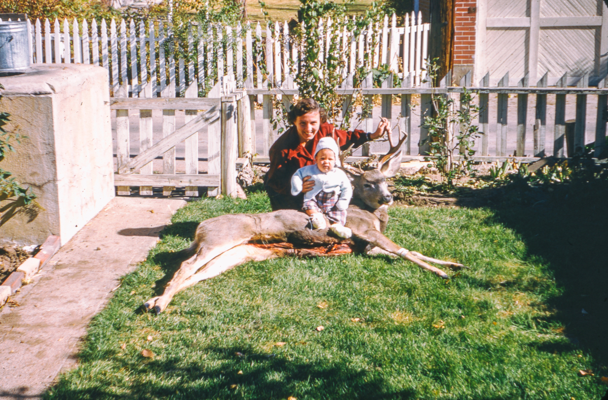 Found Kodachrome slides