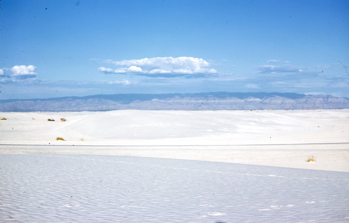 Found Kodachrome Slide