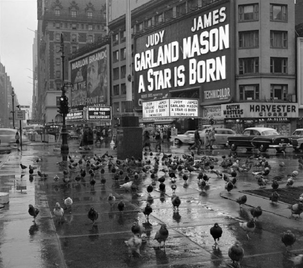 Family Finds a Stunning Album of Lost Photos of 1950s New York