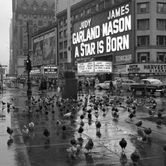 Family Find a Stunning Album of Lost Photos of 1950s New York