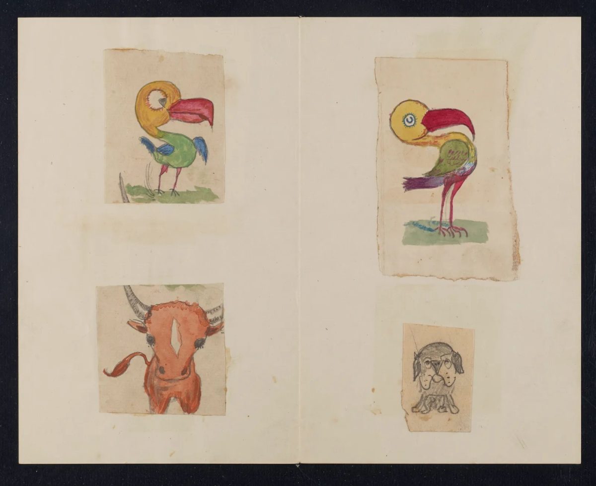 Chalres DArwin doodles