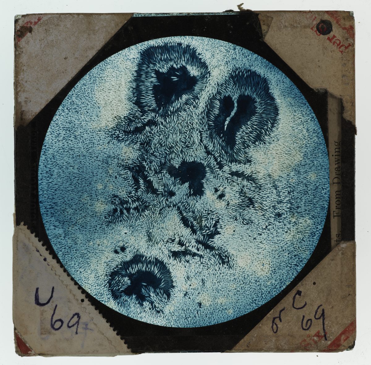 Clement Lindley Wragge