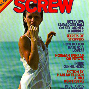 National Screw Magazine Asks 70s Pop Stars, Porn Stars and Movie Stars: ‘What’s Your Worst Nightmare?’