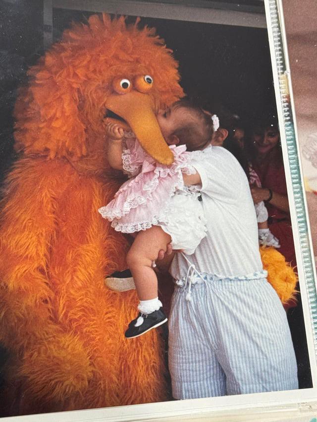 Big Bird birthday