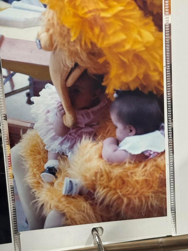 Big Bird birthday
