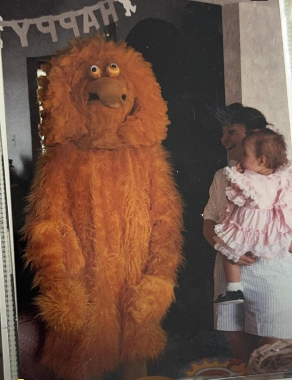 The Horrifying Big Bird Suit my Brother Wore for My 1st Birthday Party (April, 1990)