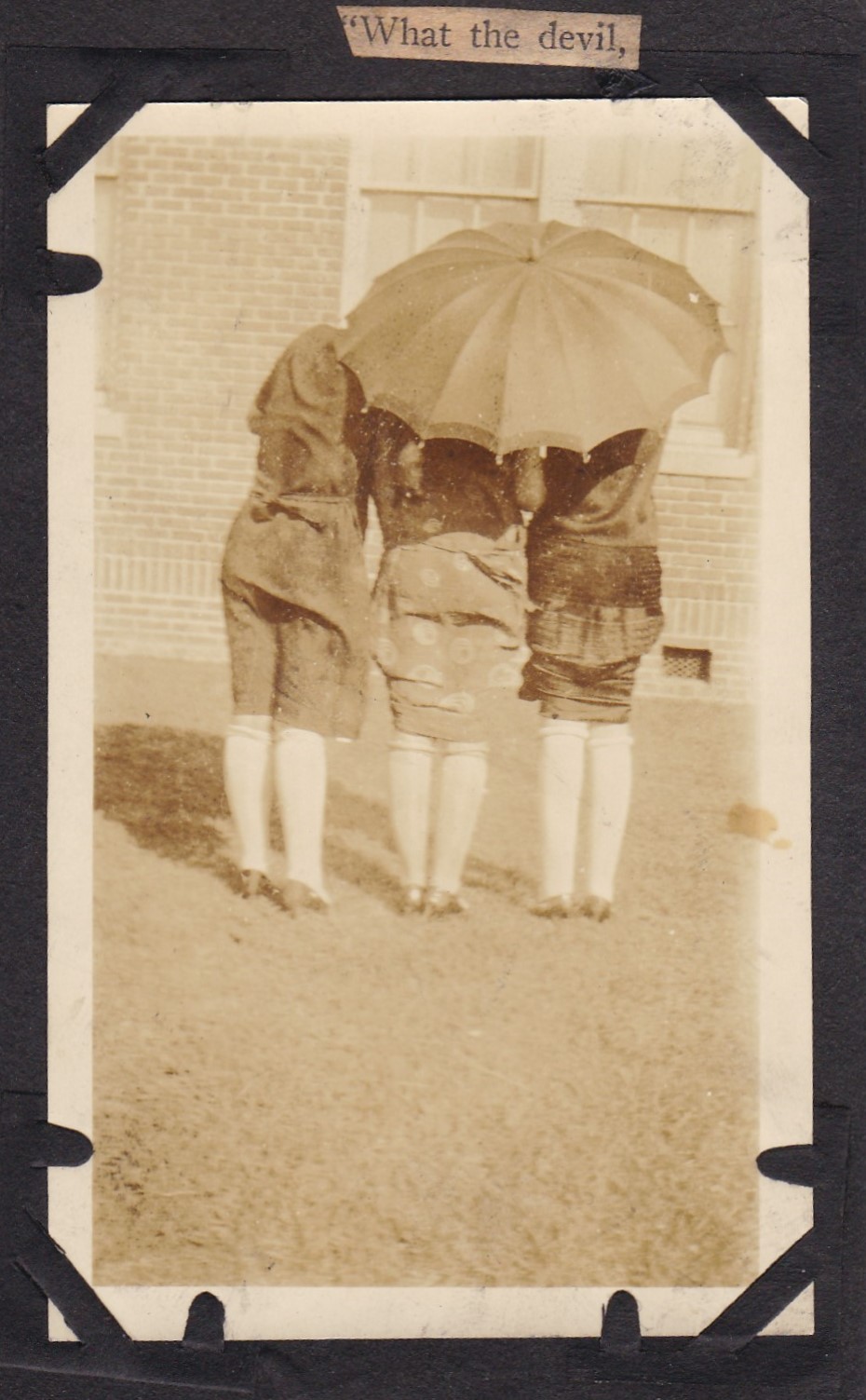Photos of Umbrellas and Parasols